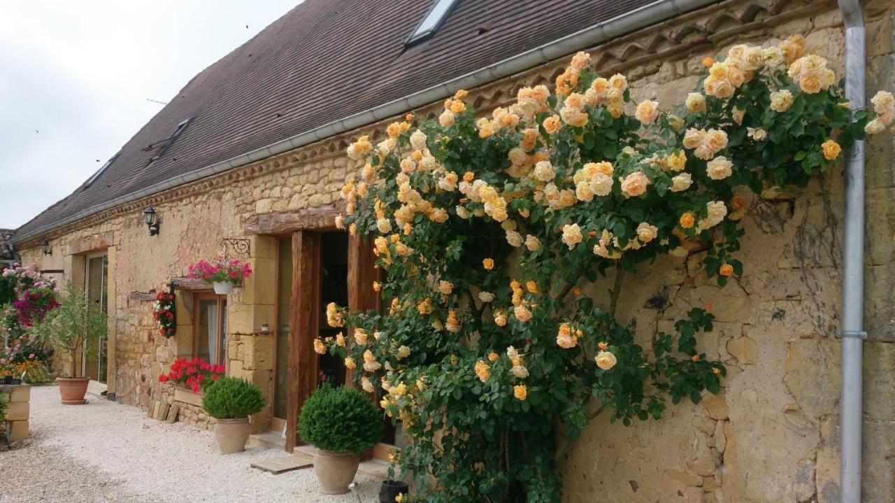 Chambre D'Hotes La Ferme De La Croix. Saint-Avit-Senieur ภายนอก รูปภาพ
