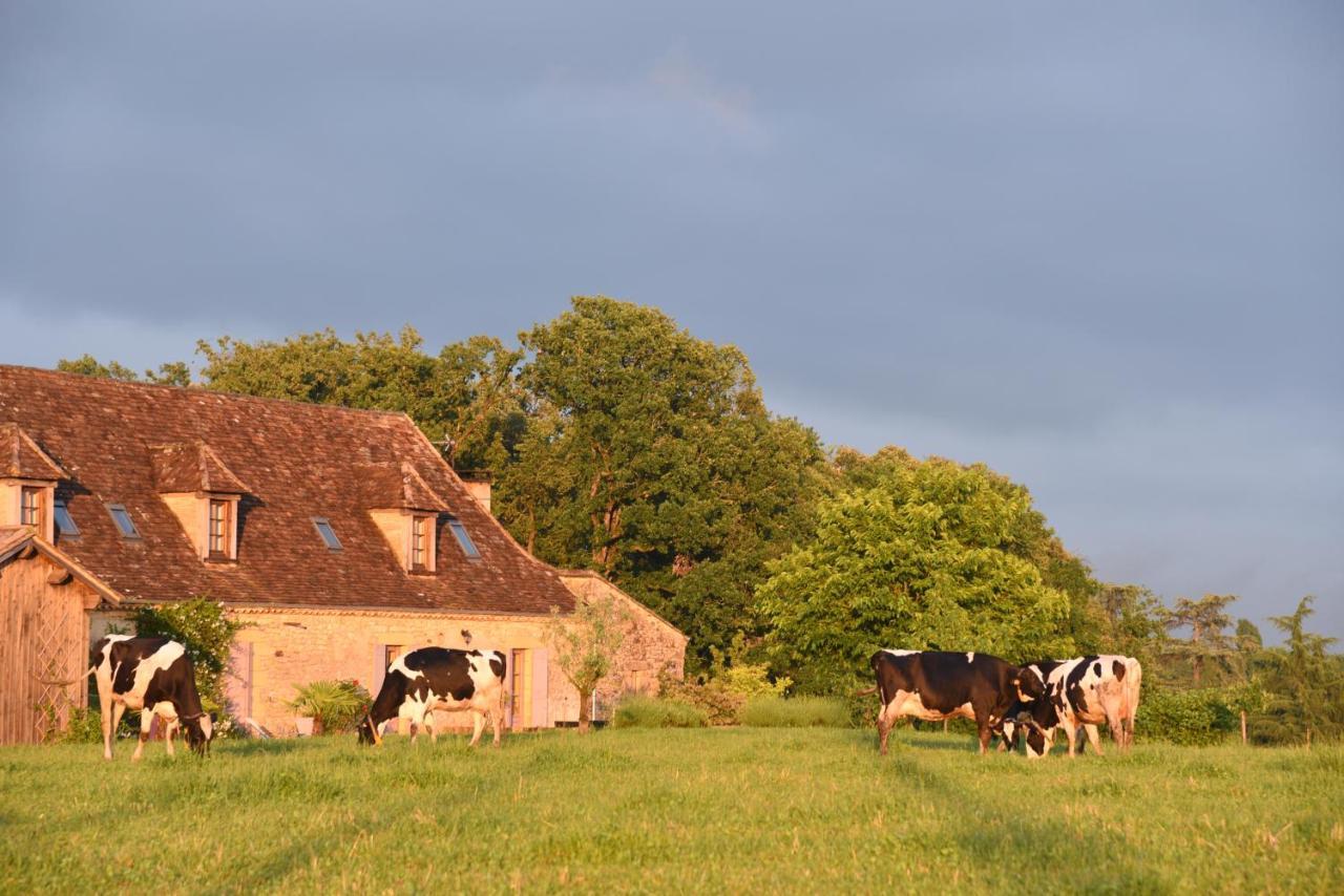 Chambre D'Hotes La Ferme De La Croix. Saint-Avit-Senieur ภายนอก รูปภาพ