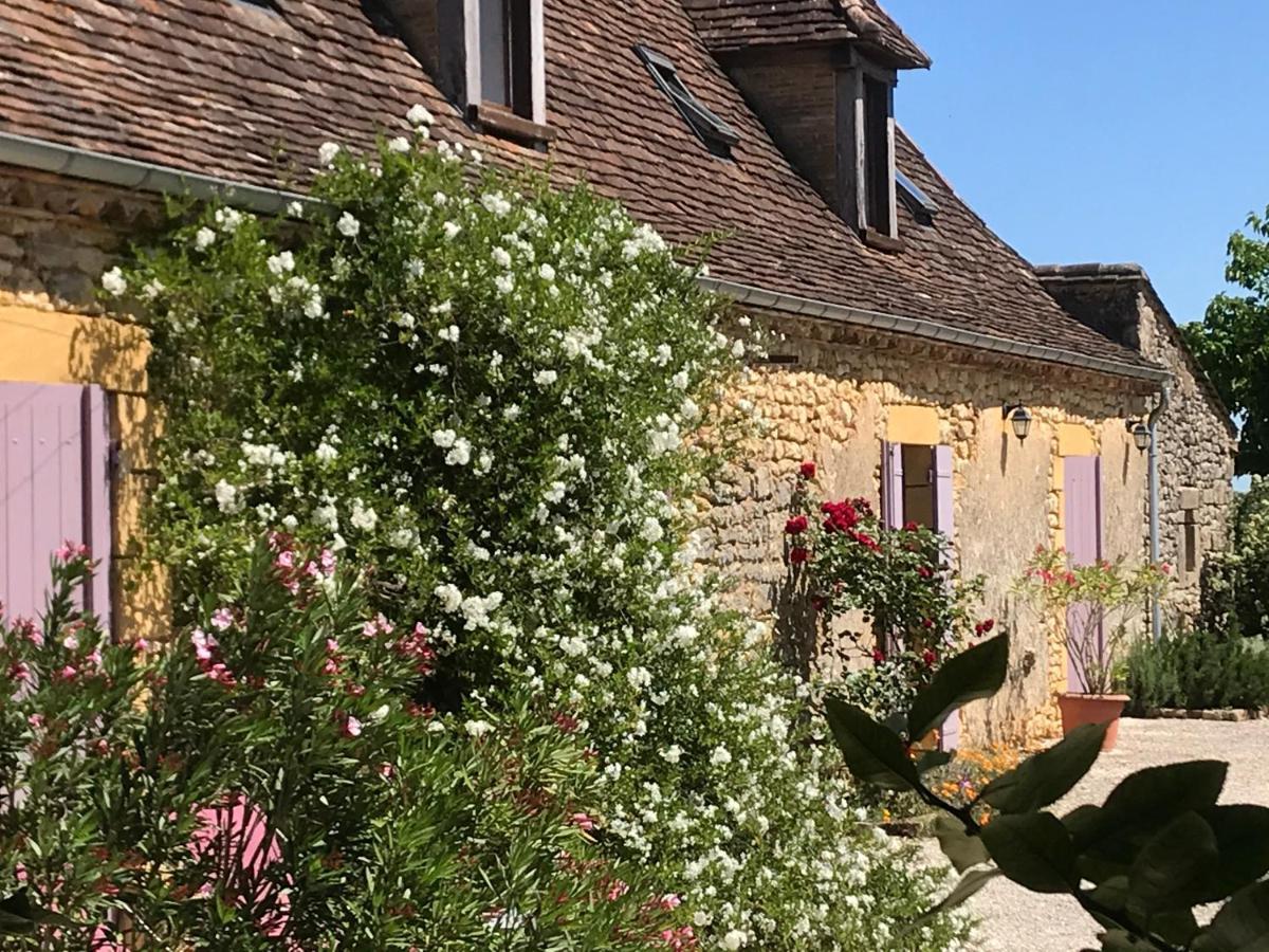 Chambre D'Hotes La Ferme De La Croix. Saint-Avit-Senieur ภายนอก รูปภาพ